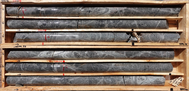 8c92bf4c8f66d6277c45cc05ef0a50c9 