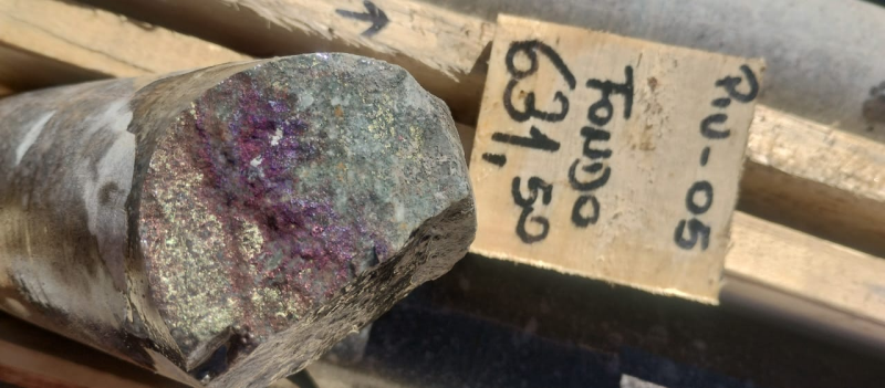 2e1f11128f6b429389a33261521b2c94 