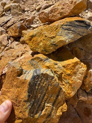 fffb3edfe4597ea3cf5d30cada621349