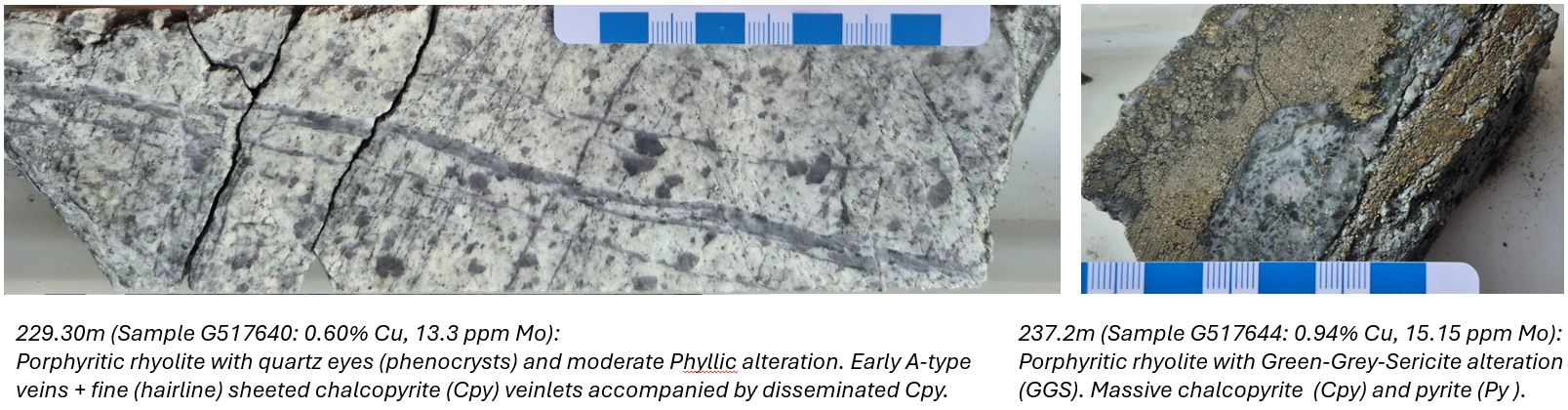 1810cca7c7a071b66ee744e5714aea0a