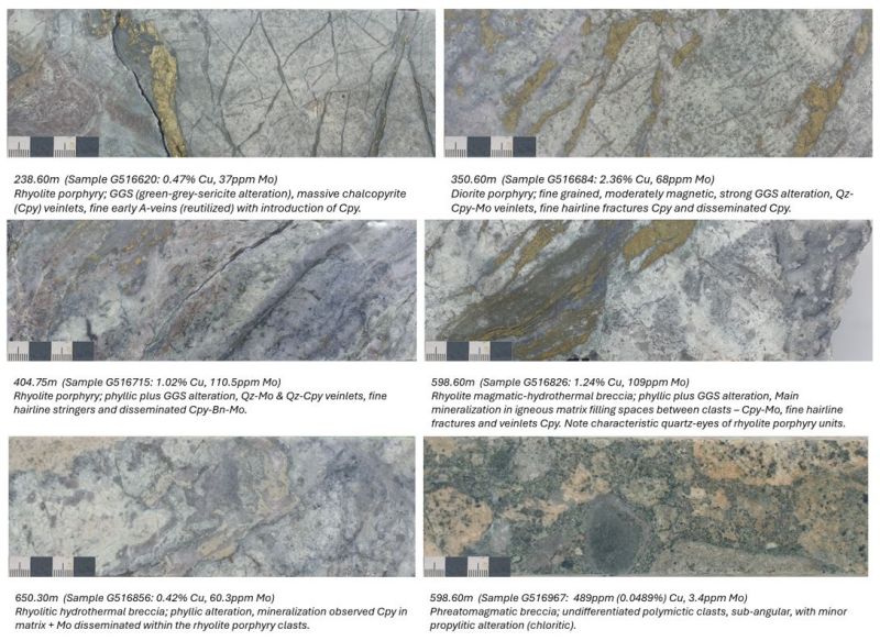 e6be450e215a077b11eb986d982ba468 